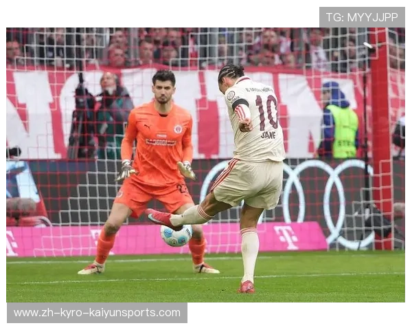 德甲本赛季首支降级球队：本赛季首支降级的德甲球队分析与前景 (2)