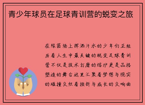 青少年球员在足球青训营的蜕变之旅