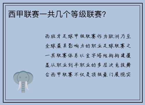 西甲联赛一共几个等级联赛？