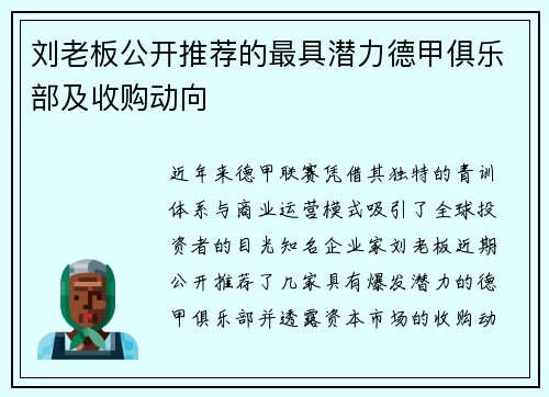 刘老板公开推荐的最具潜力德甲俱乐部及收购动向